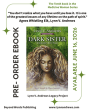 Dark Sister - SC - Book 10